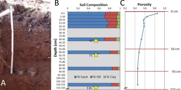 Figure  2.  (A)  Undisturbed  soil  cylinder  samplers.  (B)  Soil  composition  profile;  yellow  stars  correspond to sampling points and (C) porosity profile obtained through laboratory analysis of the  field samples