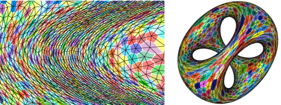 Figure 1 Left, the discrete Riemannian Voronoi diagram (colored cells with bisectors in white) and its dual complex (in black) realized with straight simplices of a two-dimensional domain endowed with a hyperbolic shock-based metric field