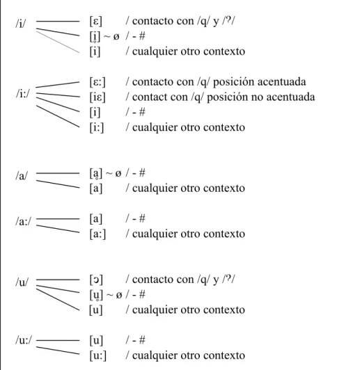 Cuadro resumen de los segmentos vocálicos y de sus variantes combinatorias: 
