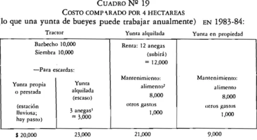 CUADRO NQ 19