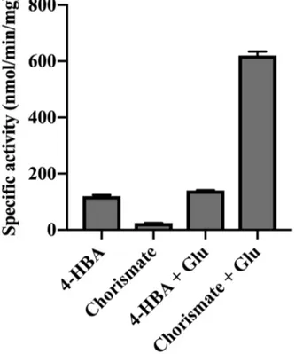 Figure 4.  Adenylation activity of AtGH3.12/PBS3.  The adenylation rate of AtGH3.12/PBS3  was measured with either 4-hydroxybenzoic (4-HBA) acid or chorismate in the absence or  presence of glutamate (Glu)
