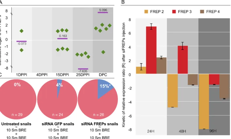 Fig 4. FREPs knock-down mediated by RNA interference. A. Cumulative expression [Log2FC (fold change) from the DESeq2 analysis] of FREP transcripts showed that FREPs were over-represented after the secondary challenge (DPC; 5.096 log2 fold change enrichment