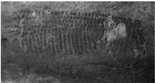 Fig. 2. Signe formé de points et de traits, Marsoulas (Pyrénées) (cliché Carole Fritz et Gilles Tosello).