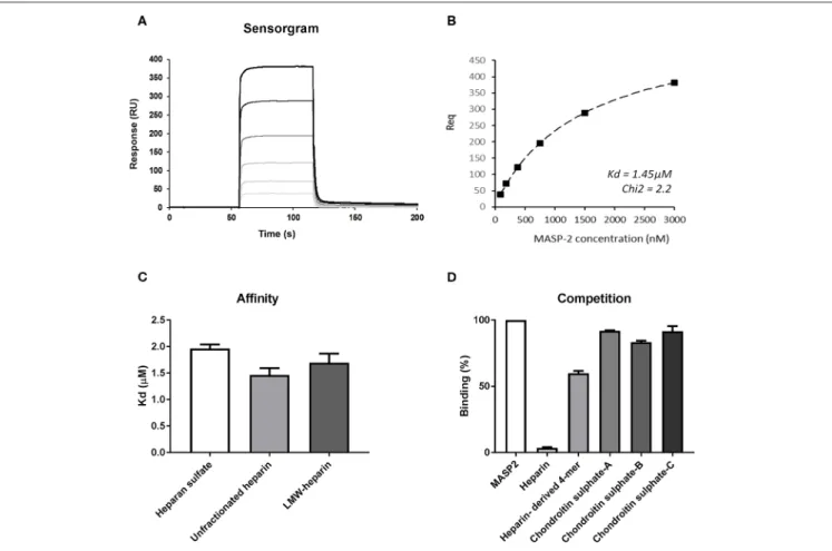 FIGURE 3 | The recombinant catalytic CCP1-CCP2-SP domain of MASP-2 shows equal affinity for heparan sulfate, small, and larger heparin preparations