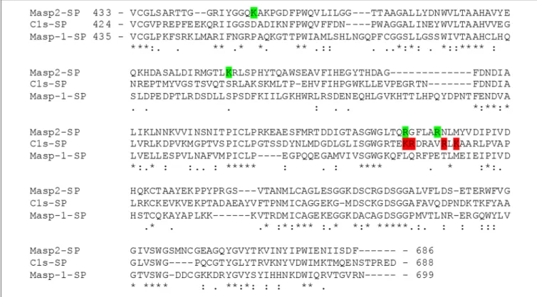 FIGURE 7 | Amino acid sequence alignment of the serine protease domains of MASP-2, C1s and MASP-1