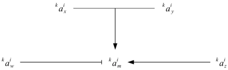 Figure 1: Diagram of the k a i m pathway