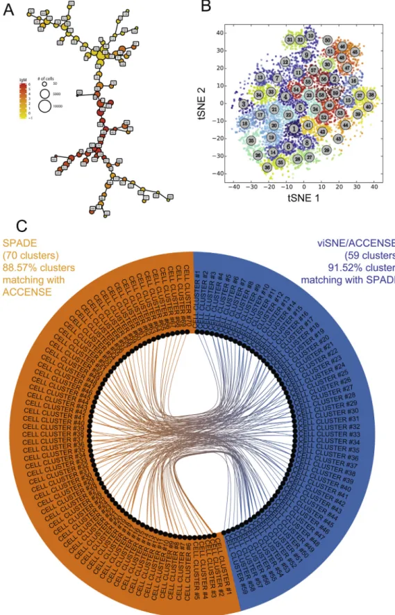 Fig. 3. Comparison of cell clustering results obtained from SPADE and viSNE/ACCENSE algorithms