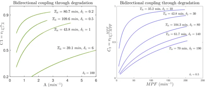 Figure 7: The term C 1 in coupling through degradation, as a function of the activator A concentration amplitude (top) v 1 , v 2 = 1, δ 2 = 100