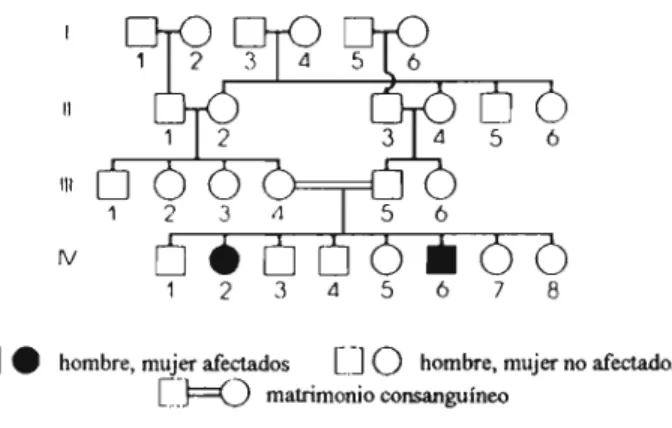 Figura 1-4. Esquema genealogico de trasmision de un desorden autosomico recesivo.