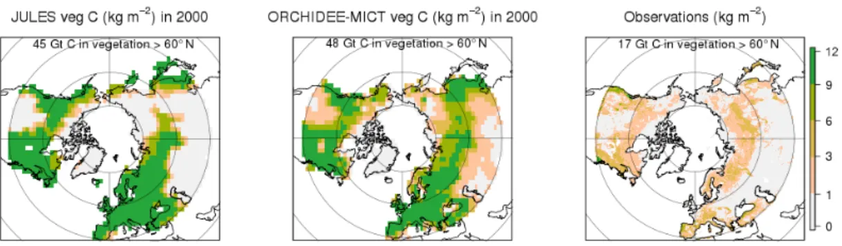 Figure 2. Simulated vegetation carbon distribution for JULES and ORCHIDEE-MICT for the year 2000, and the observations from the IPCC Tier-1 Global Biomass Carbon Map again for the year 2000 (http://cdiac.ornl.gov/epubs/ndp/global_carbon/carbon_documentatio