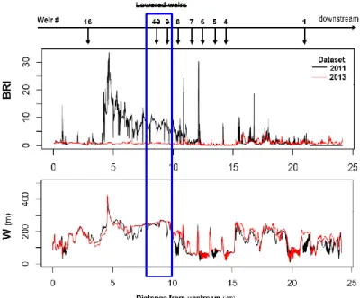 Fig. 4. Temporal analysis of river indicators: Bed Relief Index (BRI) and active width (W)