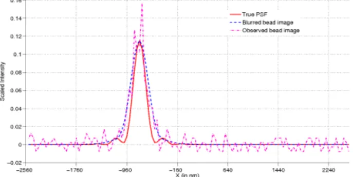 Fig. 3: Axial profiles of a calculated PSF, the blurred microsphere and the observed microsphere