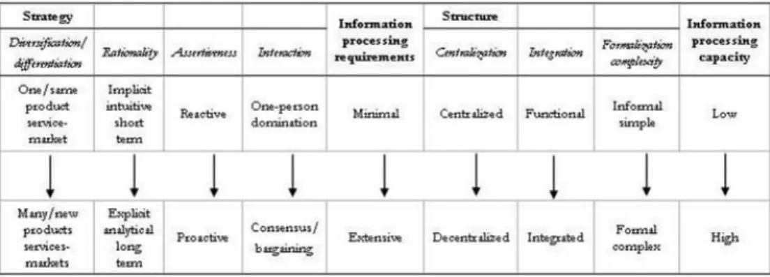 Figure 3. Information processing perspective of strategy-structure  co-alignment 