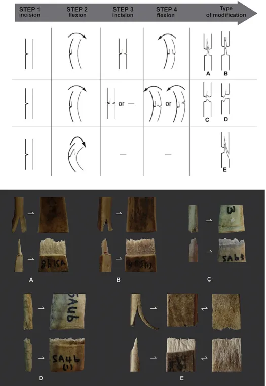 Fig. 12. Operational chain of basal splitting by incision and ﬂexion. Operational variants and typology of experimentally obtained extremities.