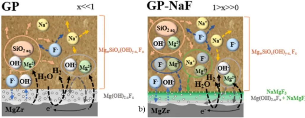 Figure 11. Diagram summarizing the processes which can possibly occur during 3 months of MgZr alloy corrosion in (a) GP and (b) GP-NaF.