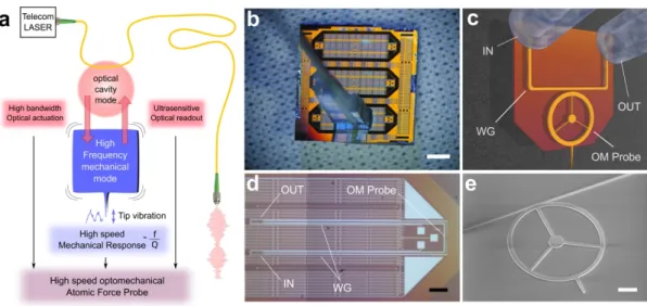 Figure 1 Introduction of the very high speed optomechanical atomic force probe. a, A high-Q optical cavity mode resonating in the telecom  range is coupled to a very high frequency extensional mechanical mode