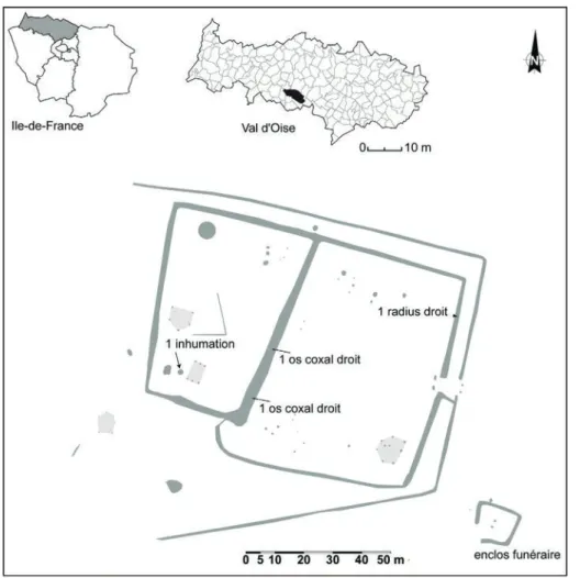 Fig. 1 : Cergy « zAC des Linandes » (95) : Plan de localisation du site et positionnement des restes  humains retrouvés en différents contextes (DAO : J.-G
