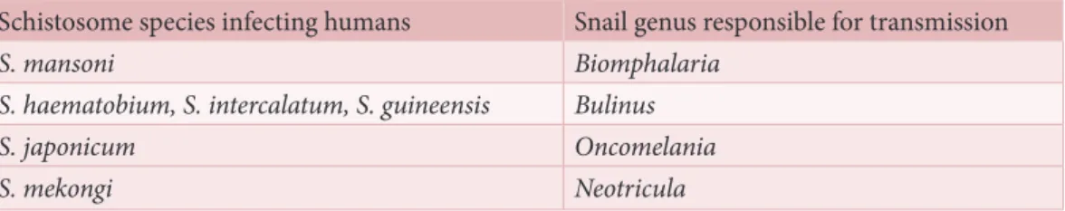 Table 1. Schistosome species and their intermediate snail hosts 