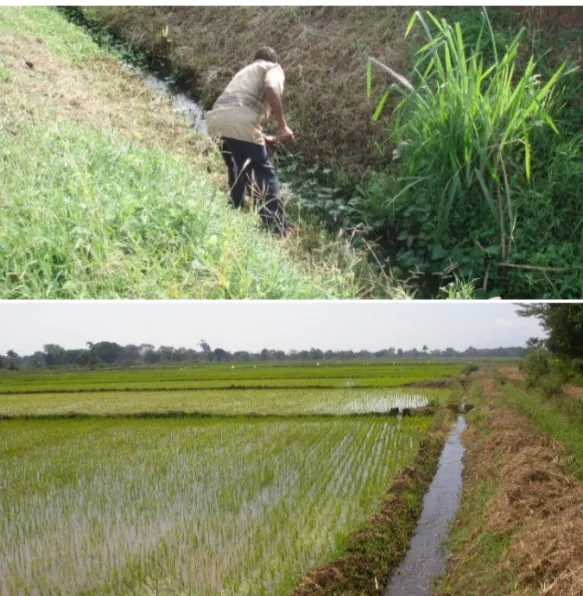 Figure A6.1. A drain (top) and an irrigation canal (below) near Moshi, United Republic of  Tanzania (Photo courtesy of Dr RM Oxborough)