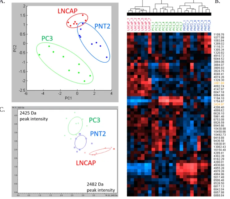 Figure 5. MALDI profiling statistical analysis of 3 cell lines supernatant. A. Principal Component Analysis of PC3, LNCaP and PNT2  spectra