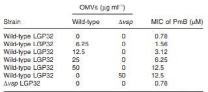 TABLE 1. Minimum inhibitory concentration (MIC) of polymyxin B in the presence/absence of OMVs  from wild-type and Δvsp LGP32