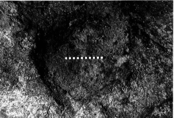 Fig.  6 : Foyer n° 1  de la salle des Morts de la grotte  d'Enlène, aux bords rubéfiés et plein d'os carbonisés  (cliché J