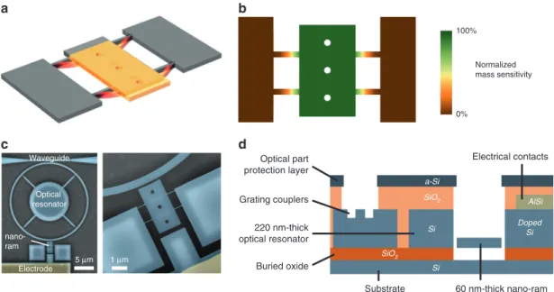 Figure 2a shows the measurement set-up, featuring optome- optome-chanical detection and electrical actuation