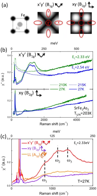 FIG. 1: (a) FeAs square plane and k-space structure of the Raman form factors or vertex in x 0 y 0 (B 1g ) and xy (B 2g )  sym-metries (see text)