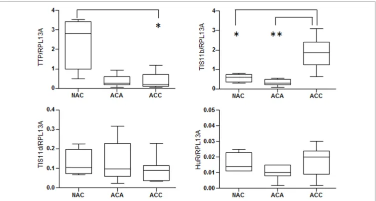 FiGUre 2 | expression of mrNA stability regulators in human adrenocortical tumors. Relative expression of mRNA stability factors in adrenocortical tumor  samples from the French COMETE (COrtico et MEdullosurrénales, Tumeurs Endocrines) Network