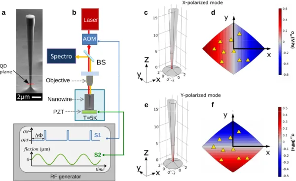Figure 1: Principle of strain-gradient mapping and experimental set-up. a, Scanning electron microscope image of a photonic wire