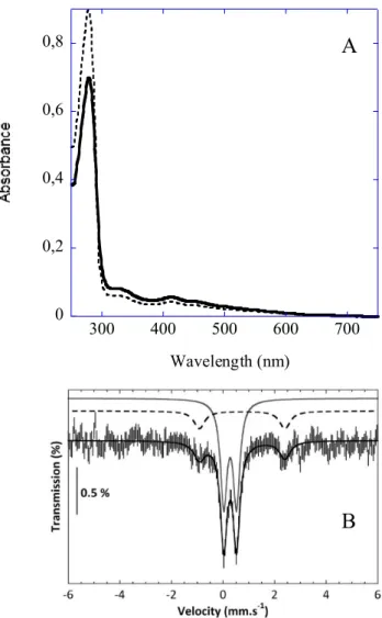 Figure 2. Spectroscopic characterization of as-isolated TtcA enzyme. (A) Light absorption spectrum of aerobically (dotted trace) and anaerobically (bold trace) purified TtcA protein in 50 mM Tris-Cl, pH 8.0, with 50 mM KCl