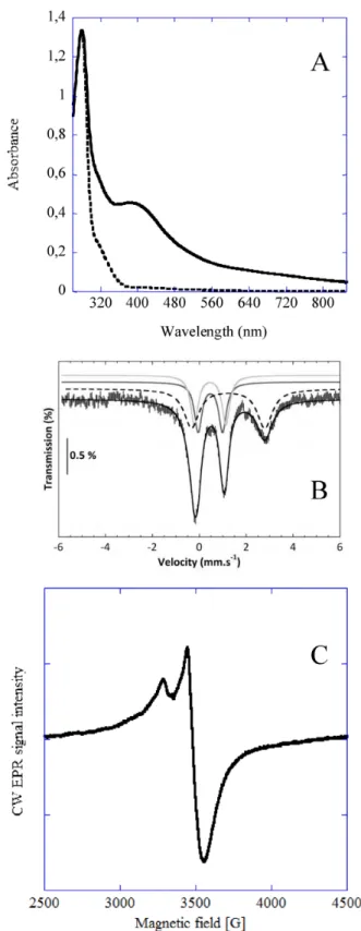 Figure 3. Spectroscopic characterization of reconstituted TtcA enzyme.