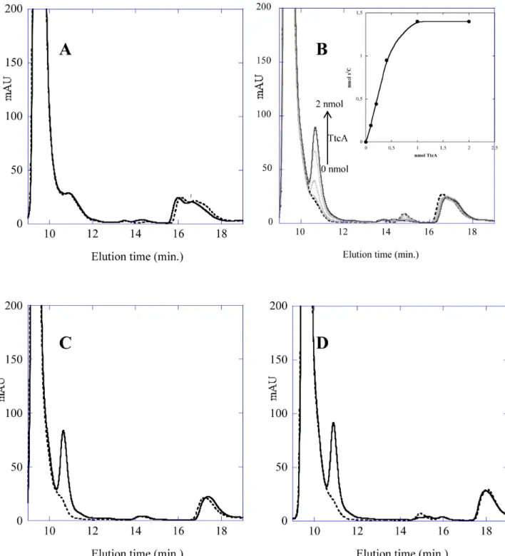 Figure 4. In vitro synthesis of s 2 C 32 . HPLC chromatograms of modified nucleosides (8–20 min region) in tRNA bulk (1 mg / ml) from ttcA − GRB105 E.