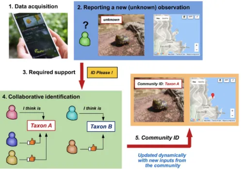 Fig. 2.3 Schematics of how the community may help in identifying observations that the partici- partici-pants are not able to identify by themselves (the process can also be used also to validate or correct proposed identifications).