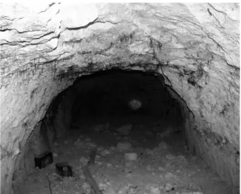 Fig. 2 : Cave artificielle où se situe la découverte (Pontvallain,  France).