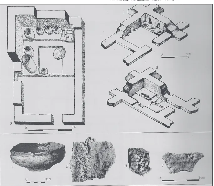 Fig. 11 - « pièces blanches » de Margiane et restes de graines (Sarianidi 1998a, fig. 46, p