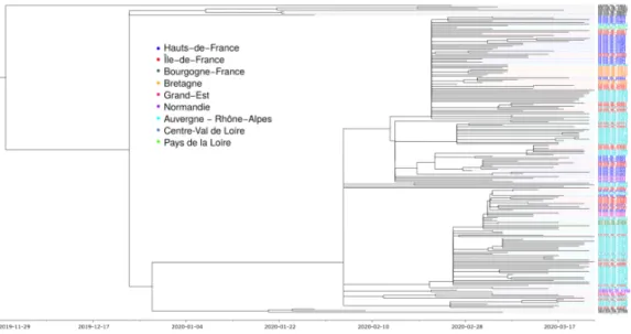 Figure 1. Phylogenetic structure of 196 SARS-Cov-2 genomes from France. Color shows the French region of sampling