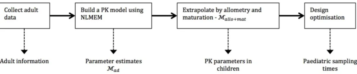 Figure 1 – Framework used to design the paediatric study using adult information.