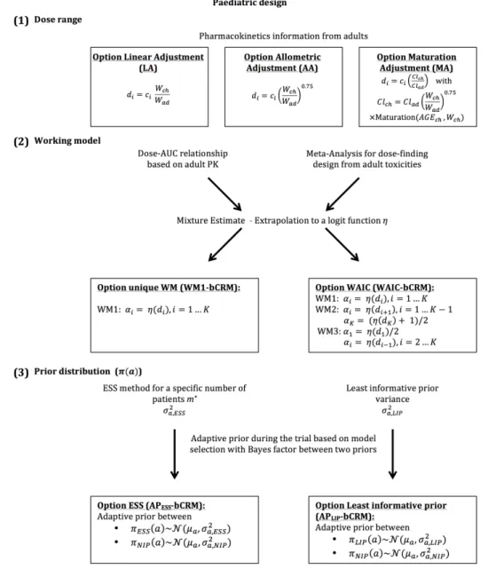 Figure 1. General framework describing the different proposed steps in the planification of paediatric dose-finding clinical trials