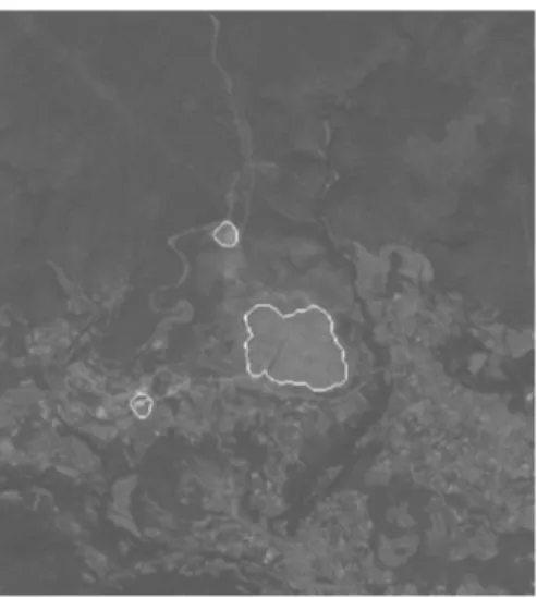 Fig. 3. Result of detection of forest fire smokes on a SPOT5 image of Esterel-Les Maures region (5 meter resolution)