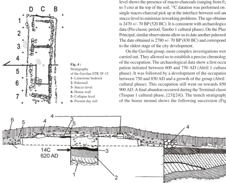 Fig. 4 :   Stratigraphy   of the Gavilan STR 5F-15 1- Limestone bedrock   2- Paleosoil   3- Stucco level   4- House wall   5- Collapse level   6- Present day soil