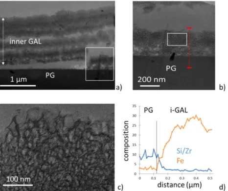 Fig. 3 TEM analyses performed in the inner GAL. a TEM micrographs of the i-GAL evidencing several strata and location of the pro ﬁ le composition (red line) in the ﬁ rst stratum (b)