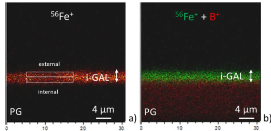 Fig. 7 ICP characterizations. a SEM micrograph, b SEM-EDS elemental mapping and c μRaman analyses of ICP on the left side, without Si.