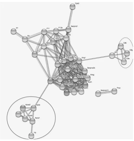 Figure  3:  Protein-protein  interaction  network  drawn  from  the  73  immune  genes  found  to  belong  to  enriched  biological  processes  related  to  immunity