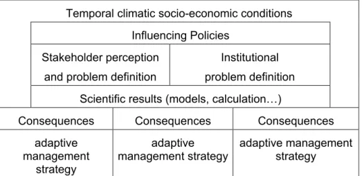 Figure 2: Adaptive matrix of problem definition (Manez, forthcoming). 