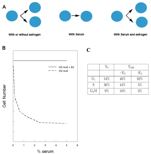 Figure 1: Experimental examples of the default state.