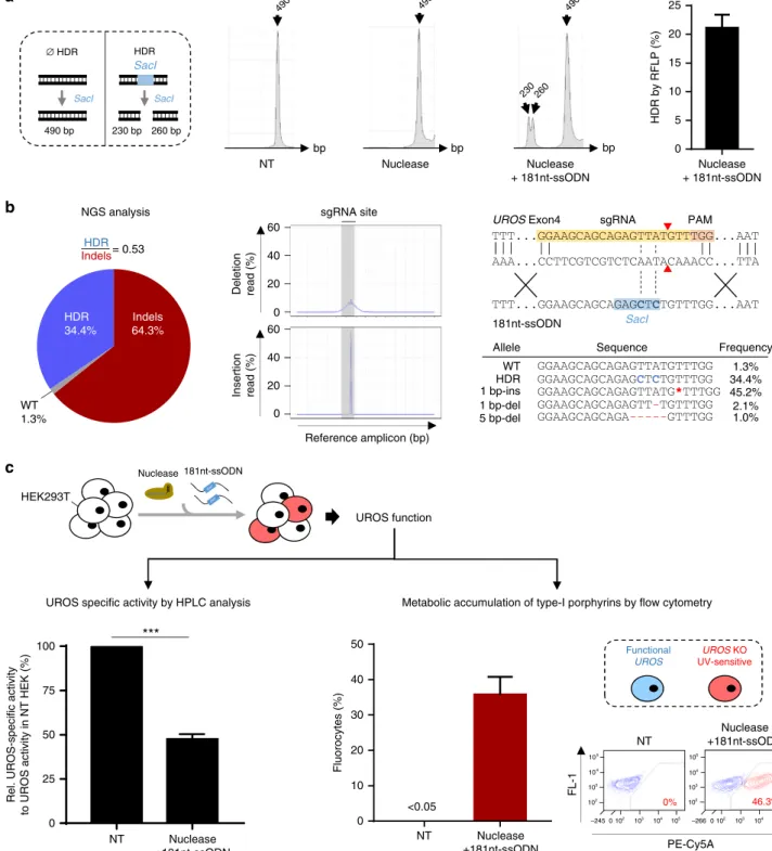 Fig. 2 Nuclease-mediated HDR is associated with predominant indels leading to impaired UROS functionality