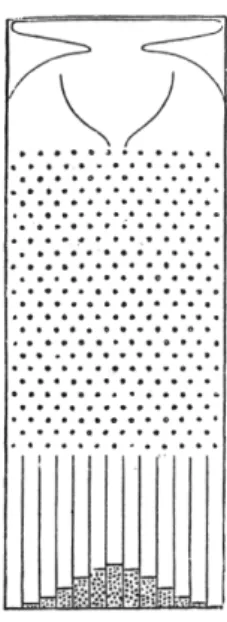 Figure 5: Galton’s quincux (Galton, 1894, pp.63). A ball falls but obstacles lead it to move randomly to the right or to the left