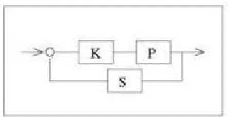 Figure 3. P is the plant (resource), K is the control, the policy and S is the sensing
