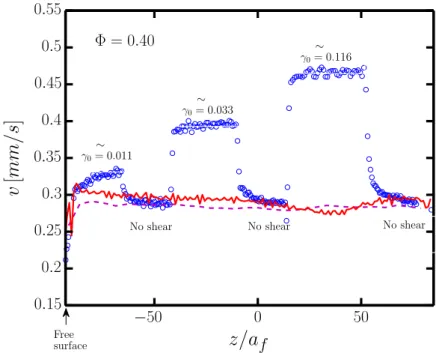 Figure 3: Fall velocity of a steel ball as a function of vertical position. Φ = 0.40. (−−) Velocity in suspension at rest after steady preshearing [shear rate ∼ 0.1 s − 1 during 60 s]; (−) Velocity in suspension at rest after the same steady preshearing fo